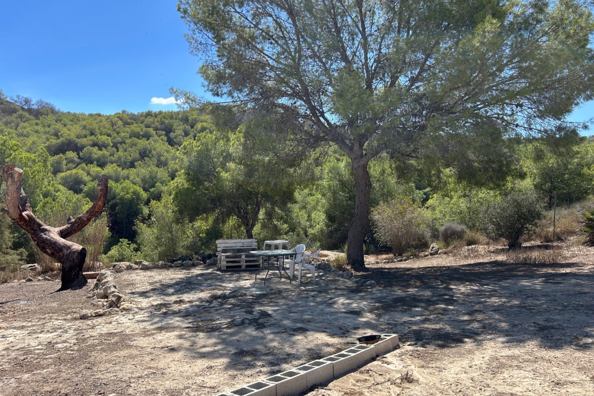 Herverkoop - Finca - Torremendo