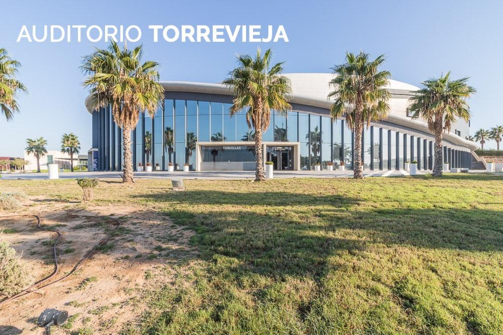 Herverkoop - Appartement - Torrevieja