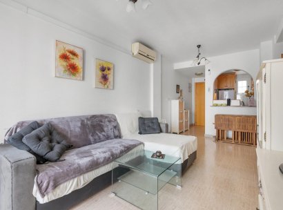 Wohnung · Wiederverkauf - Torrevieja · El Calvario / El Molino · Alicante · Spanien